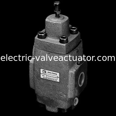 Ein guter Preis. HG.HT.H-Art Ventilgewindeverbindung releif Druckregelventile Hektogramms -06-A-4 online