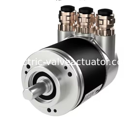 Ein guter Preis. Neuer Original-P+F-Codierer EVM58N-011PNR0BN-1213 online