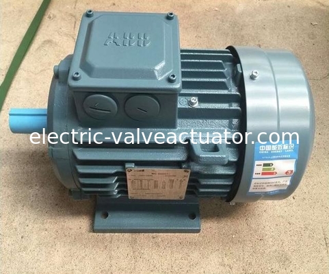 Ein guter Preis. M2BA-Serie 380V IP55 NEMA Flang Fuß montiert 3 Phasen Wechselstrommotoren online