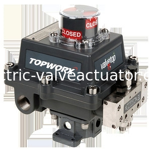 Ein guter Preis. Original Emerson TOPWORX Go Schalter Nähe Mechanischer 4-20mA Sender DXP-L21GNEB online